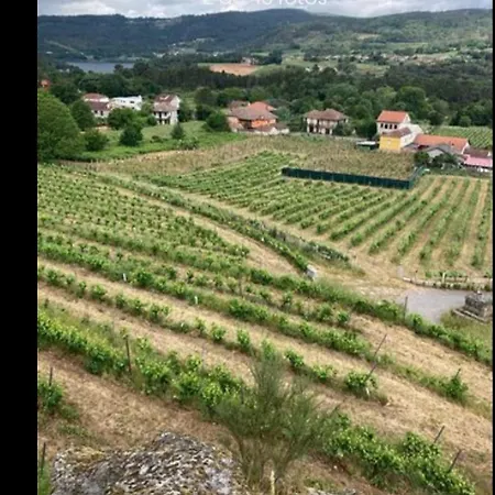 Casa Do Avò * Castrelo de Mino