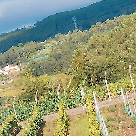 Casa Do Avo Castrelo de Mino