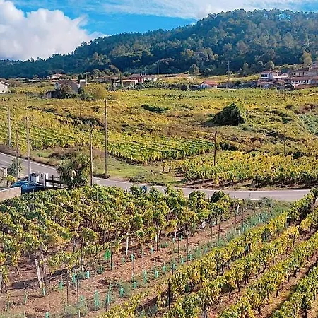 Casa Do Avo Konukevi Castrelo de Mino