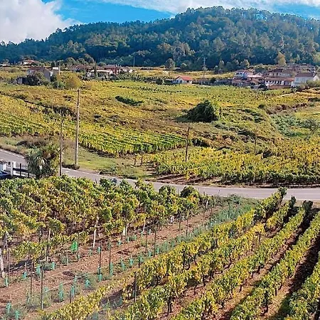 Casa Do Avo Konukevi *