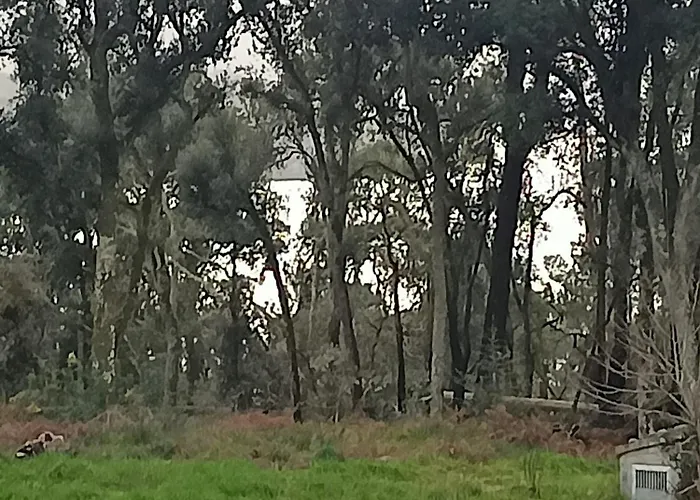 Gasthuis Casa Do Avo