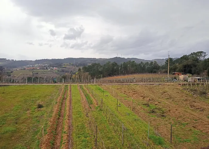 Casa Do Avo Castrelo de Mino