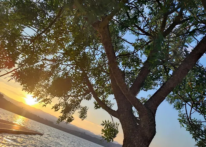 Casa Do Avo Castrelo de Mino