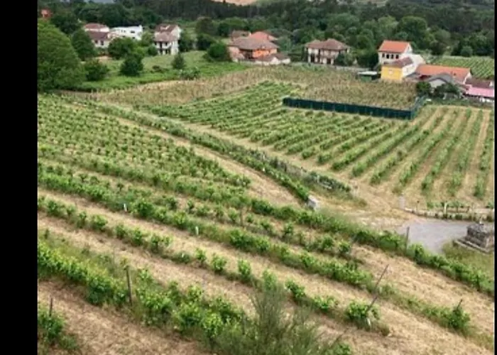 Casa Do Avo * Castrelo de Mino