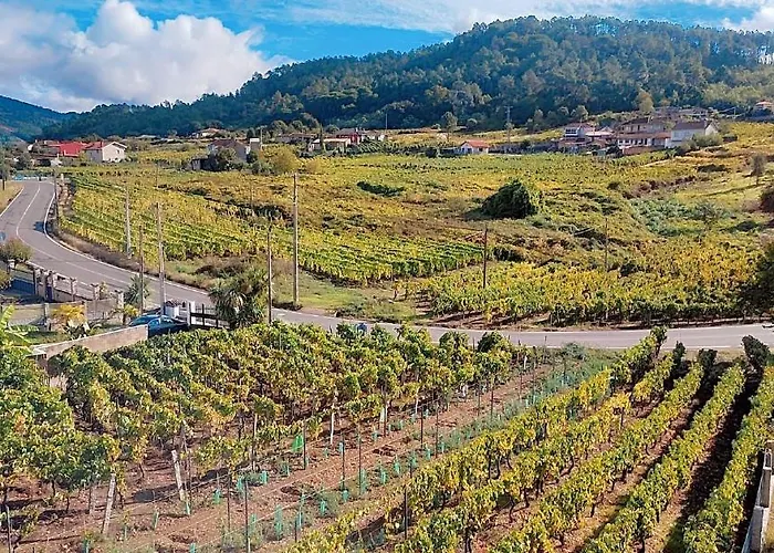 Casa Do Avo Gasthuis Castrelo de Mino