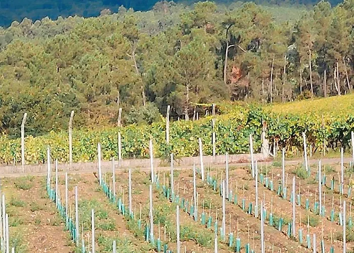 Gasthuis Casa Do Avo *