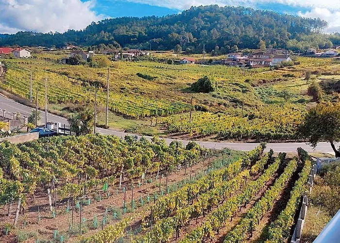 Casa Do Avo Konukevi *